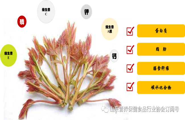 641_副本.png 641_副本.png